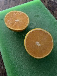 Valencia Orange Showcase of Citrus