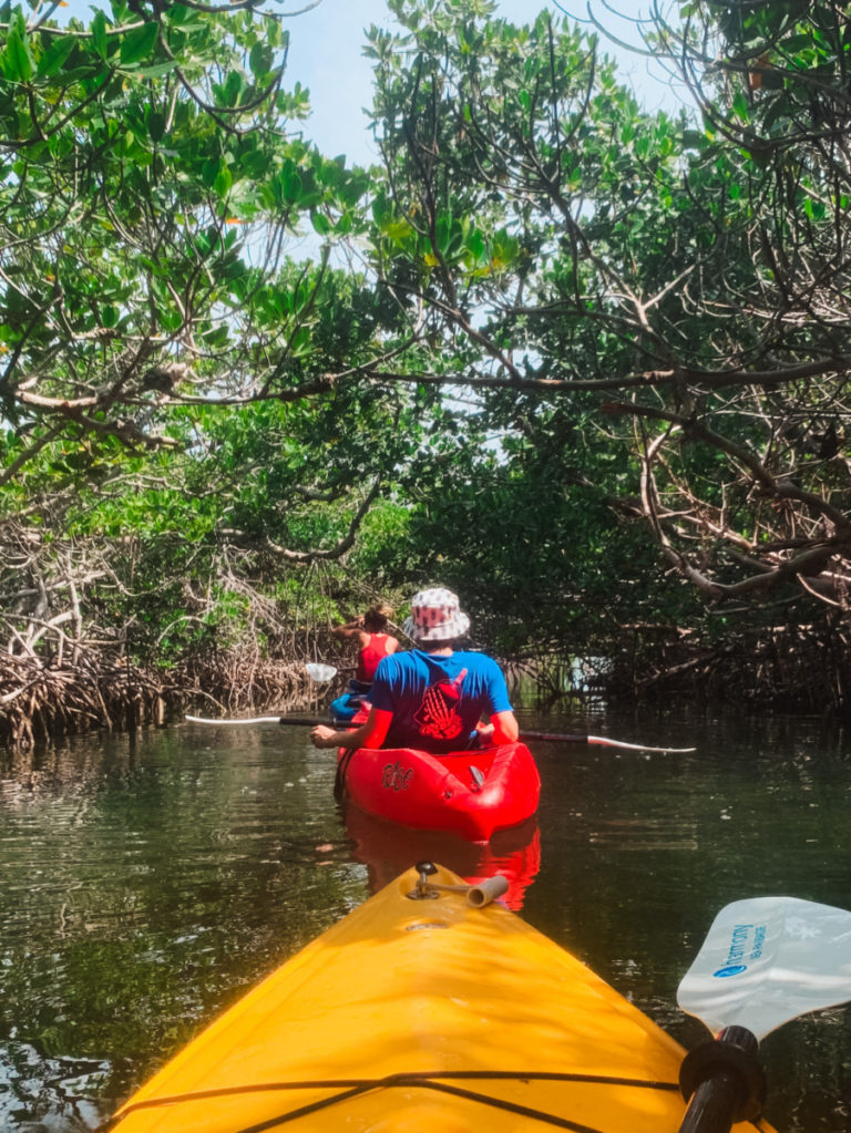 Wonderful Kayaking Adventure in Key West