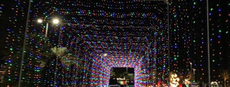 Holiday Magic of Lights at the Daytona Speedway